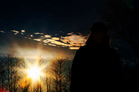 Foresty landscape at sunset