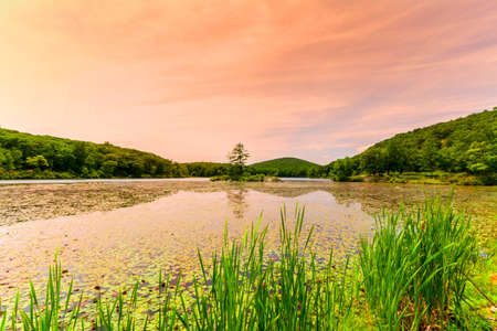 Beautiful view of sunset on the forest lake.の写真素材