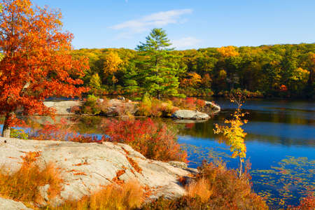 Fall landscape with the forest lake.の写真素材