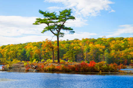 Fall landscape with the forest lake.の写真素材