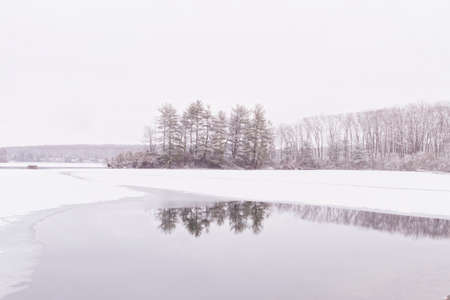 Beautiful view of the frozen forest lake in the winter.