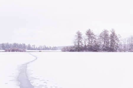 Beautiful view of the frozen forest lake in the winter.の写真素材