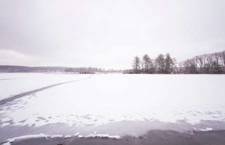 Beautiful view of the frozen forest lake in the winter.の写真素材