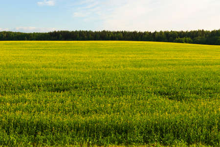 View of the farmland fields.の写真素材