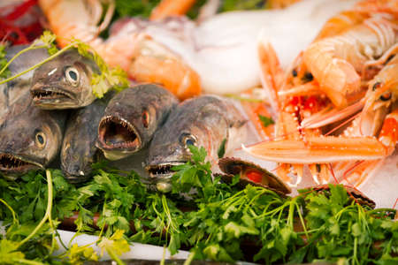 Fresh produce in seafood market.の写真素材