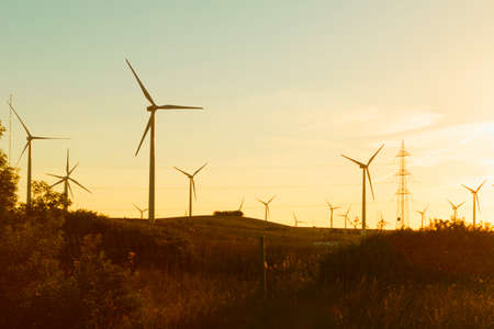 Electric windmills at sunset.の写真素材