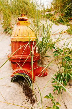 Fire hydrant in a sand dune on the beach.の写真素材