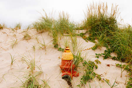 Fire hydrant in a sand dune on the beach.の写真素材