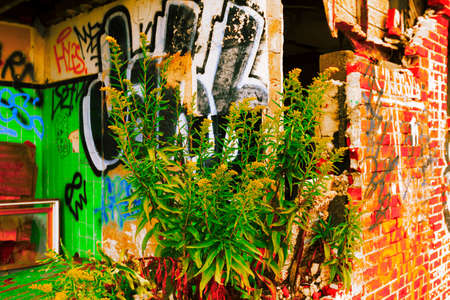 New York City, USA- September 28, 2016: Fort Tilden is a former US Army installation that is now abandoned and covered in graffiti.の写真素材