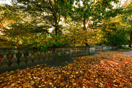 New York City Central Park in the Fall.の写真素材