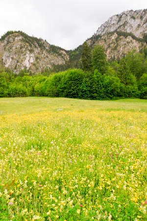 View of Bavarian Alps.の写真素材