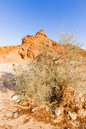 View of Timna Valley in Israeli Negev Desert.の写真素材