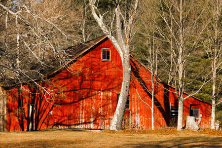 Old weathered barn on a farmland.のeditorial素材