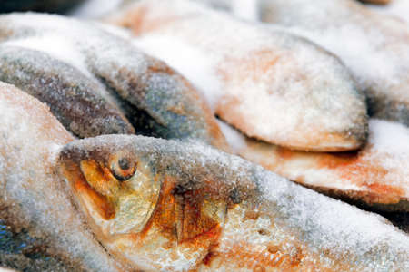 Fresh fish for sale at the seafood market, close-up view.