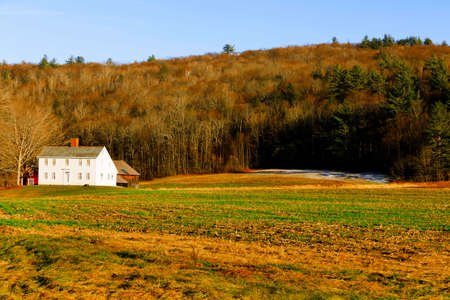 Beautiful forest landscape.の写真素材