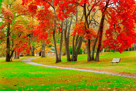 Colorful fall scenery.の写真素材