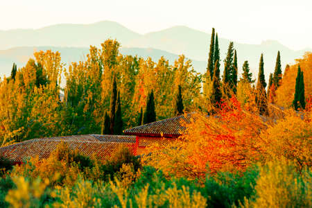 Fall landscape with the forest lake at sunset.の写真素材