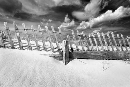 Sandy beach.の写真素材