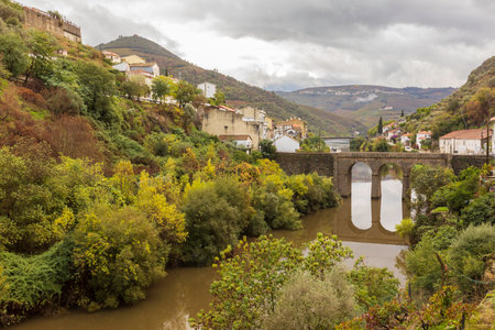 View of grapevines iand landscapes n Douro Valley wineries in Portugal