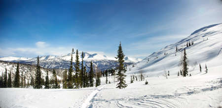 teeth with kuguluの写真素材