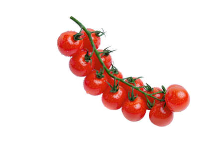 Cherry tomatoes with drops on branch, isolateの写真素材