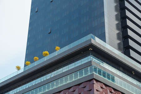 Part of an business building with blooming trees on the terrace