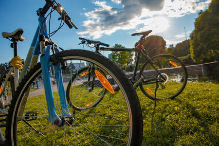 Two bicycles parked in a city park in the contrasting light of the setting sun.の写真素材