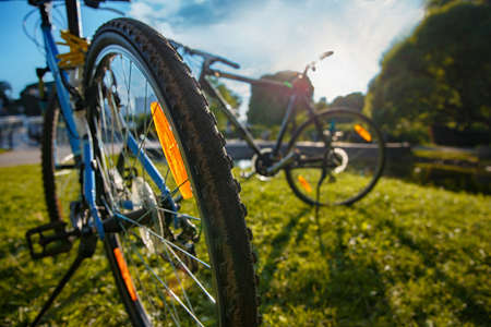 Two bicycles parked in a city park in the contrasting light of the setting sun.