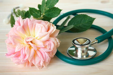 Rose and stethoscope on a white wooden table