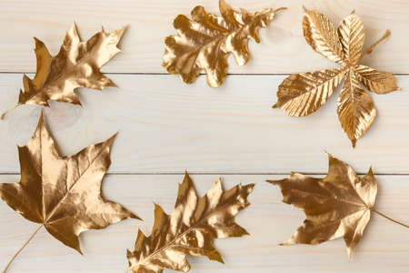Gold leaf design elements around the edge of the frame. Frame of golden leaves.の写真素材