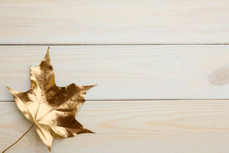 Design elements golden leaf of maple on white boards.の写真素材