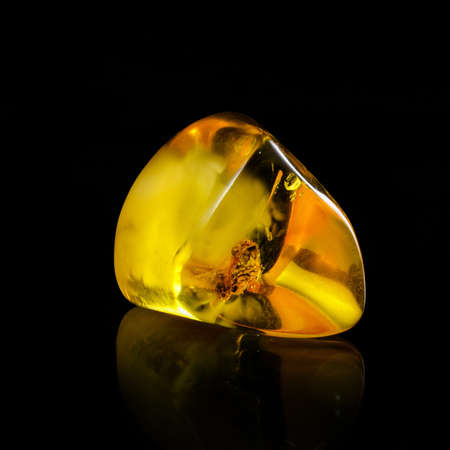A unique piece of solar amber on a black background.
