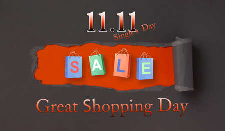 Online shopping of China, 11.11 single's day sale concept.