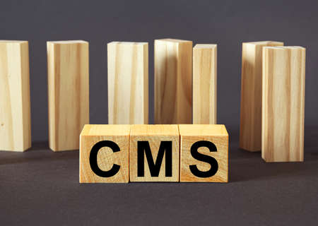 CMS Custom Management System written on a wooden cubeの写真素材