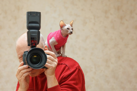 A curious little kitten of the Canadian Sphynx breed in a red jacket sits on the shoulder of the photographer.の写真素材