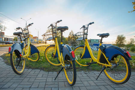 Parking bikes for rental in the city, tourismの写真素材