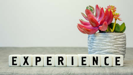 Soft cubes with the abbreviation Experience with a flower on a white backgroundの写真素材