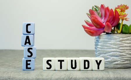 Soft cubes with the abbreviation CASE STUDY with a flower on a white backgroundの写真素材