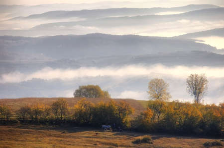 Rural autumn landscape with fog over the hillsの写真素材