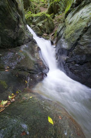 waterfall in the woods and yellow leaf on a stone