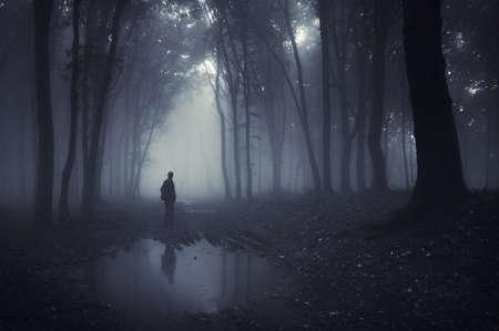 man in a forest with pond and fog after rain の写真素材