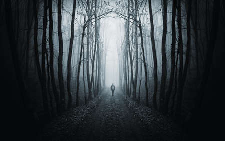 man walking on a path in a strange dark forest with fog 