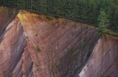 Canyon with layers and trees on topの写真素材