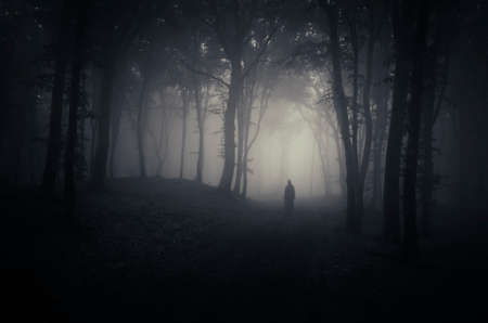 Ghost in spooky dark forest with fog on Halloweenの写真素材
