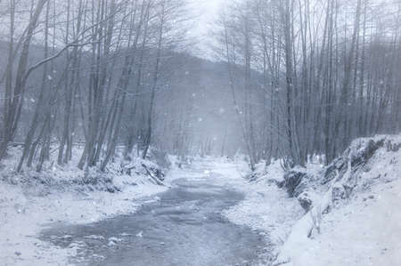 river trough forest in winter with snowの写真素材