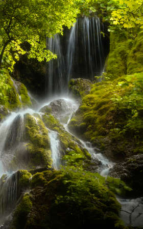 Waterfall in jungle with green lush vegetation plants