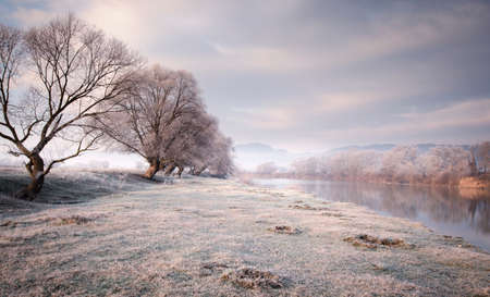 Frozen meadow in winter near river with tree,の写真素材