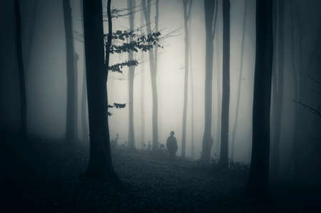 Man in dark mysterious forest with fog on Halloweenの写真素材