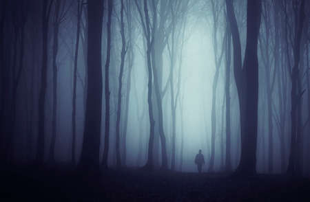 Man in mysterious forest with fog on Halloween nightの写真素材