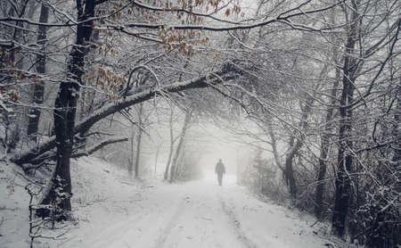 Man on winter forest pathの写真素材